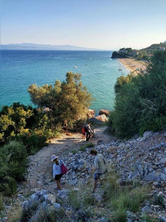Апартаменты Harmony Seaside Pelion Платаньяс Экстерьер фото